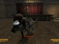 FalloutNV 2012-05-20 03-23-25-11.png